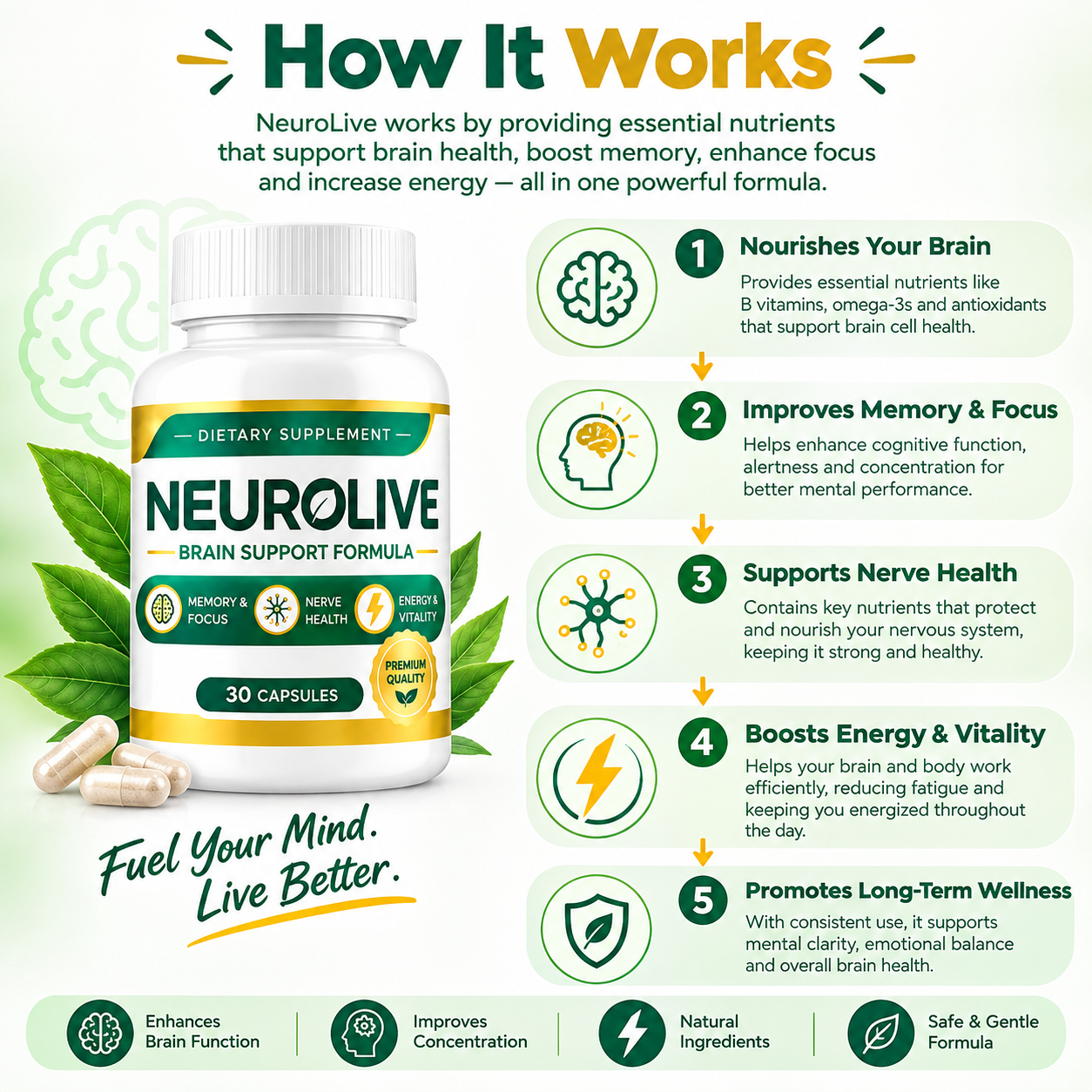 How NeuroLive works